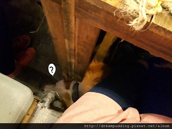 20161201_162028.jpg 20161201_162028.jpg