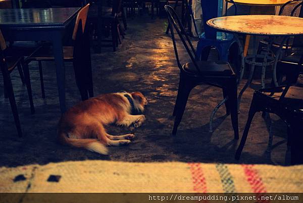 DSC04219.jpg DSC04219.jpg