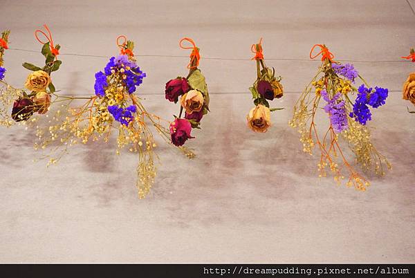 DSC07302.JPG DSC07302.JPG