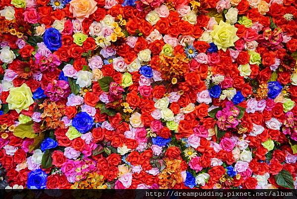 DSC07305.JPG DSC07305.JPG