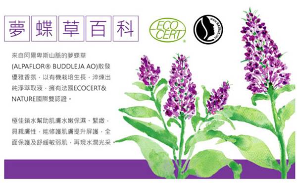 ECO夢蝶草 試用