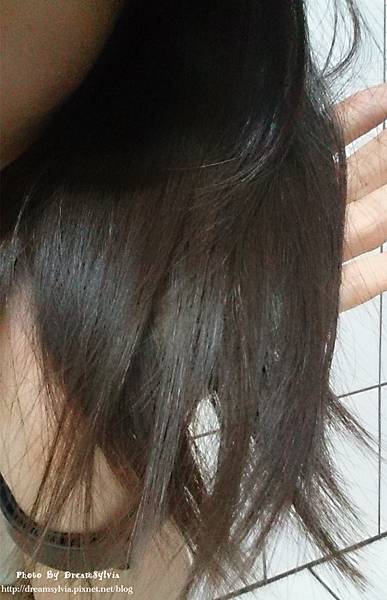 DSC_0678_副本 試用