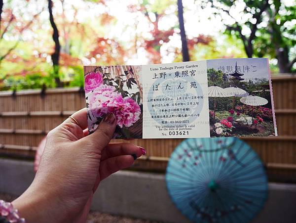 東京 賞花 上野東照宮 牡丹花苑賞花中之王 已鎖定 東京 賞花 上野東照宮 牡丹花苑賞花中之王 Didi S Life And Serendipity 東京 賞花 上野東照宮 牡丹花苑賞花中之王 已鎖定 東京 賞花 上野東照宮 牡丹花苑賞花中之王 Didi S Life And Serendipity