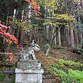 IMG_0303.jpg