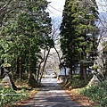 IMG_0528.jpg