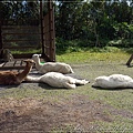 P1130354
