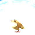 2016-08-07 13.39.40.png