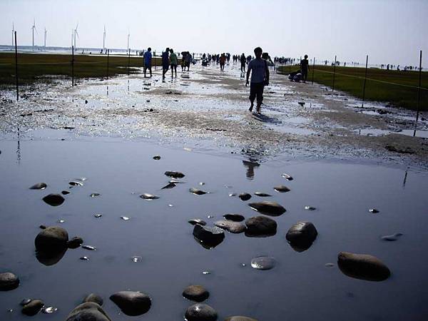 大家都下海了