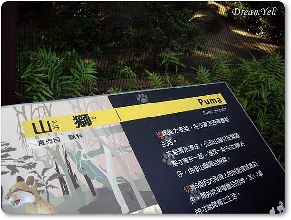 山獅PUMA