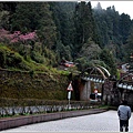 遠挑阿里山小火車