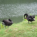 2009_0817June0159.JPG