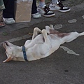 2009_0817June0185.JPG