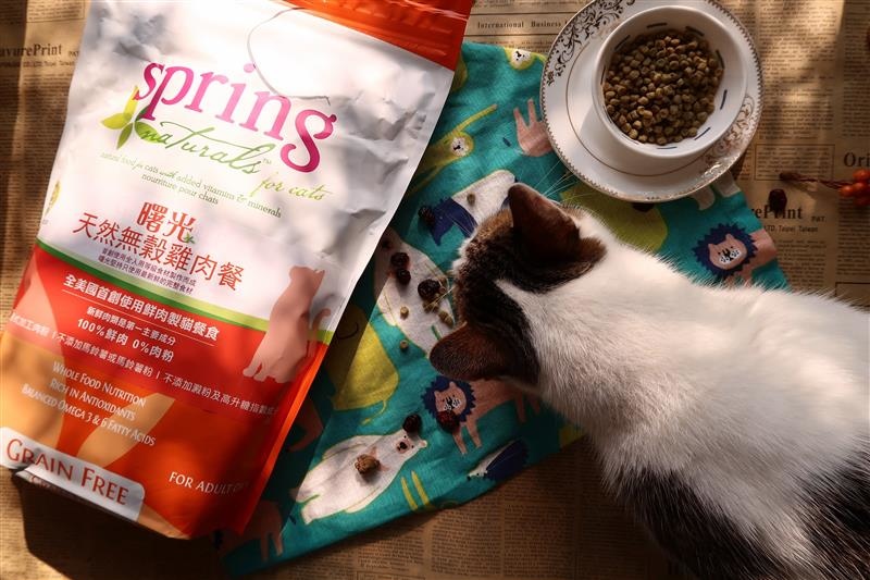 Spring Natural 曙光天然寵物餐食 016.jpg Spring Natural 曙光天然寵物餐食 016.jpg