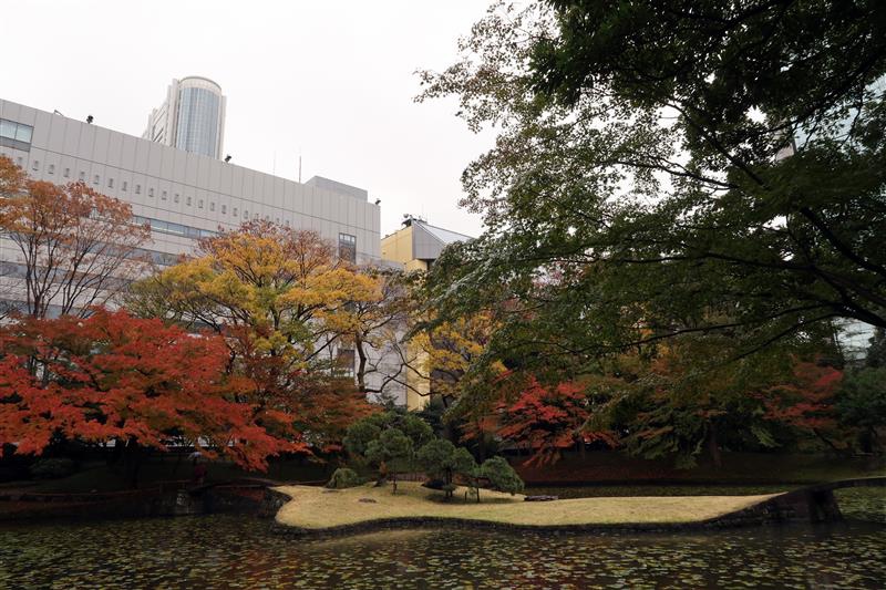 東京賞楓 小石川後樂園 027.jpg