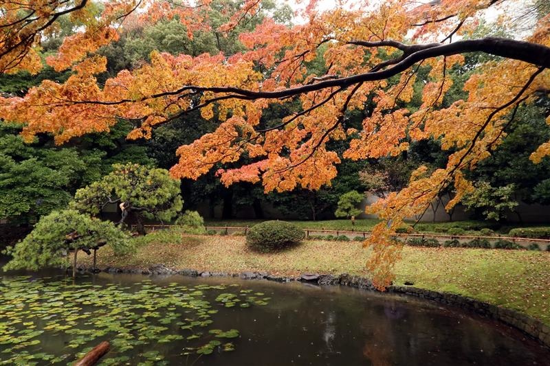 東京賞楓 小石川後樂園 035.jpg