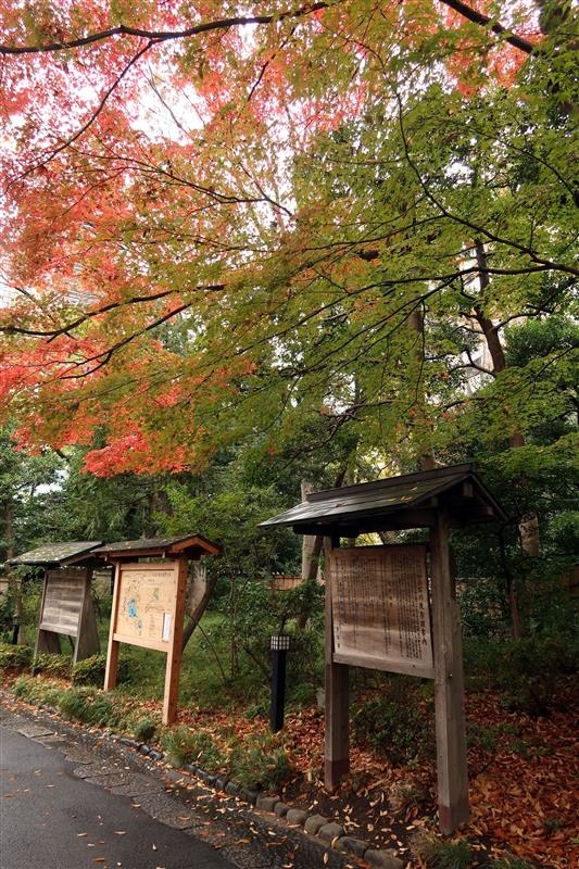 東京賞楓 小石川後樂園 046.jpg