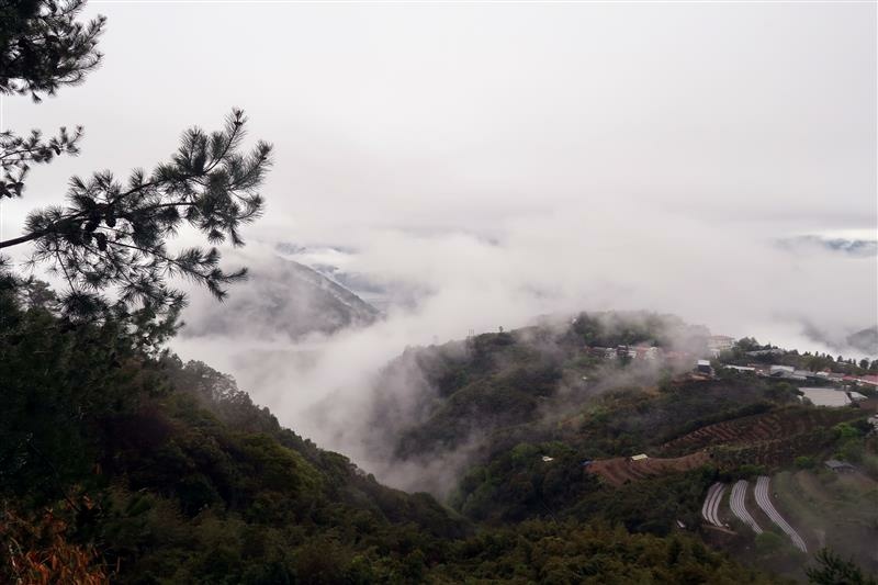 雲的故鄉 清境 湖景超級無敵雙人房 加床 早餐 066.jpg