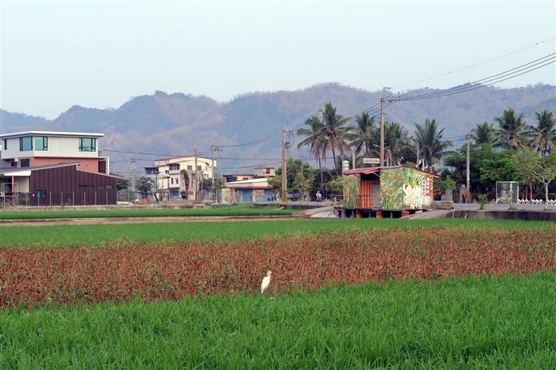 美濃住宿 林家民宿 中正湖 (4).jpg