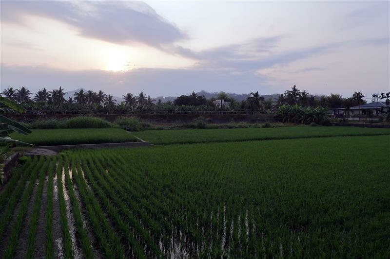 美濃住宿 林家民宿 中正湖 (9).jpg