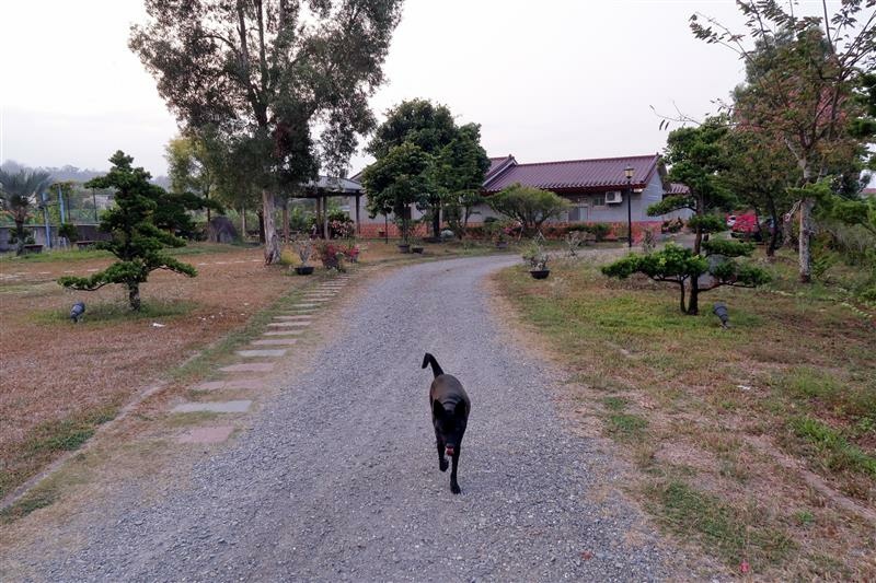 美濃住宿 林家民宿 中正湖 (52).jpg