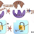 鑰匙與鎖理論圖(障礙版).jpg