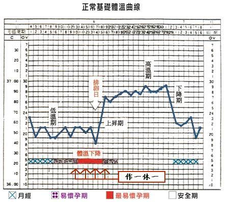 排卵基礎體溫圖.jpg