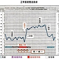 排卵基礎體溫圖.jpg