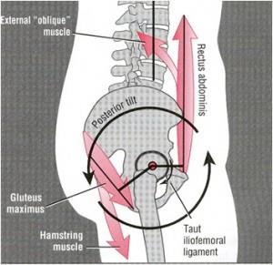 lumber spine1