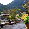 IMG_7728_1.jpg