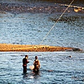 IMG_6116_1.jpg