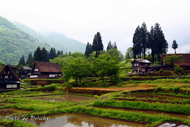 IMG_3776_1.jpg IMG_3776_1.jpg