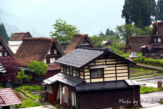 IMG_3782_1.jpg IMG_3782_1.jpg