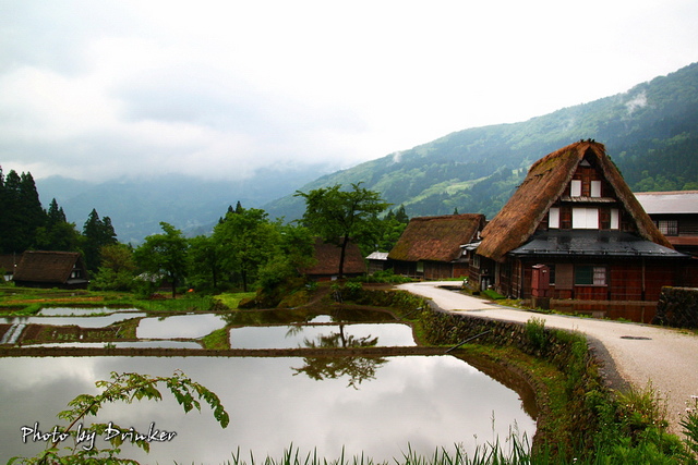 IMG_3794_1.jpg IMG_3794_1.jpg