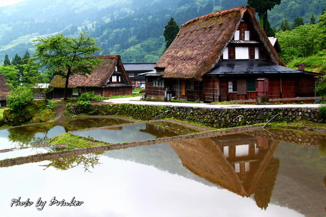 IMG_3796_1.jpg IMG_3796_1.jpg