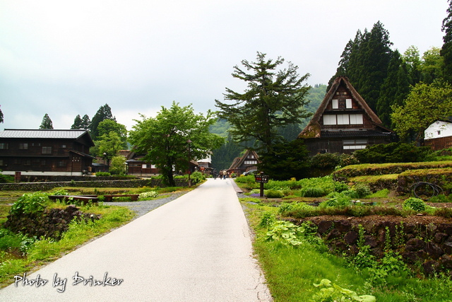 IMG_3799_1.jpg IMG_3799_1.jpg