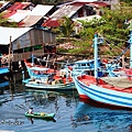 IMG_4601_1.jpg