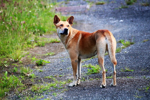 IMG_5878_1.jpg IMG_5878_1.jpg