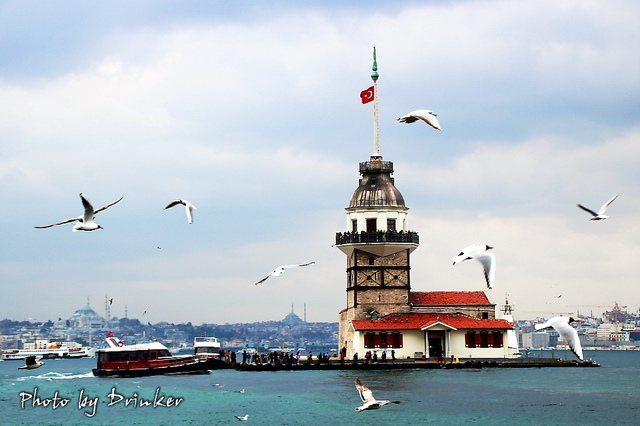 IMG_1172_1.jpg IMG_1172_1.jpg