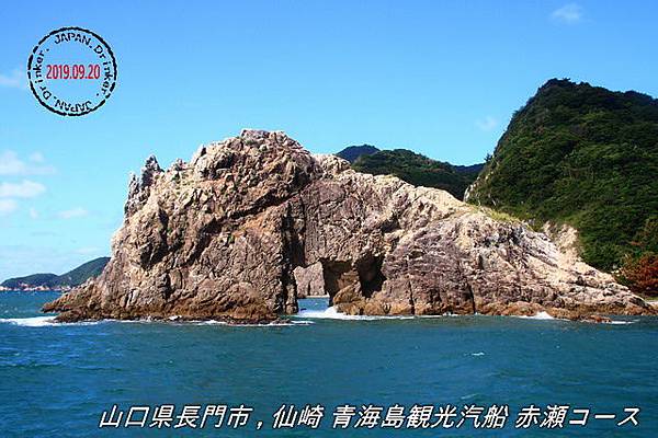IMG_7039_1.jpg