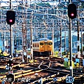 IMG_7633_1.jpg