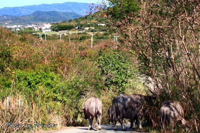 回首我2021年的旅遊路