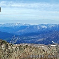 D8_08.jpg