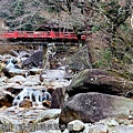 D8_23.jpg