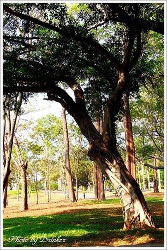 高雄市熱帶植物園