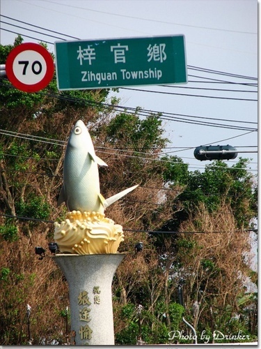 騎單車到漯底山賞景‧蔡園泡茶