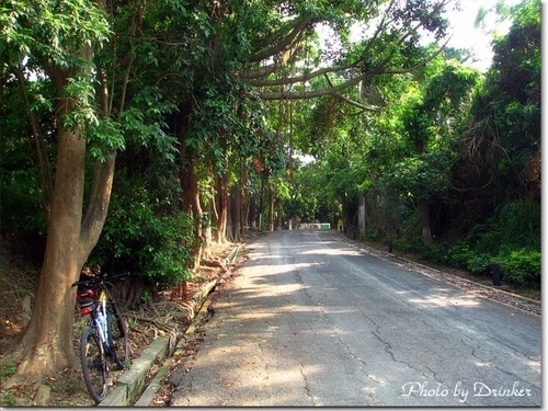 騎單車到漯底山賞景‧蔡園泡茶