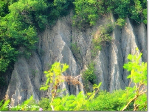 騎單車到漯底山賞景‧蔡園泡茶