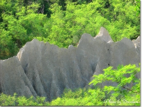 騎單車到漯底山賞景‧蔡園泡茶