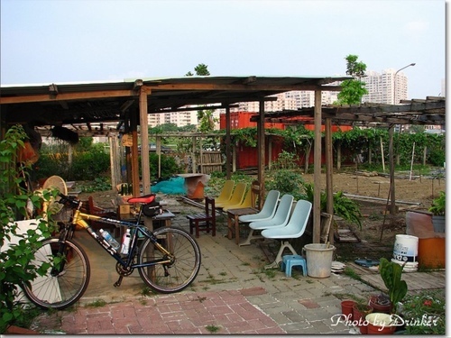 騎單車到漯底山賞景‧蔡園泡茶