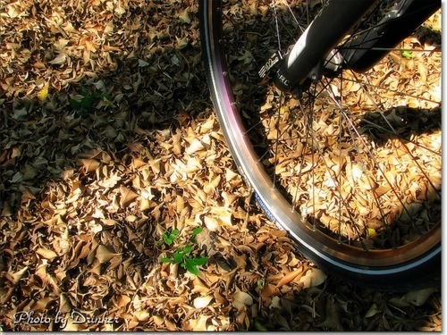 都會公園單車登高行